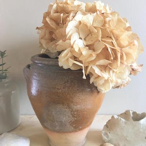 May include: A rustic brown glazed ceramic pot with a wide mouth and a rounded body, filled with dried cream-colored hydrangeas.