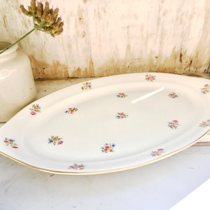 Vintage Pillivuyt France Oval Serving Platter: Chateau Style Floral Plate