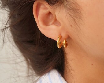 earrings / 18K Gold Hoops Earrings • Hoops Statement Earrings • Double Hoops Earrings • Titanium Earrings • Gift for Her