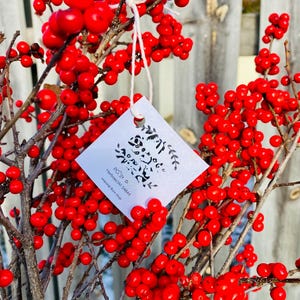 Fresh Cut Winterberry