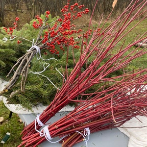 May include: Bundles of red twig dogwood branches and evergreen sprigs with red berries, tied with white twine, on a gray surface.