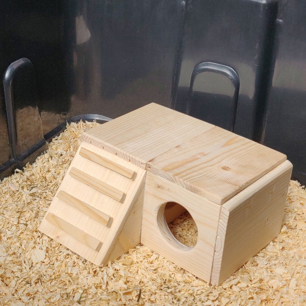 Customizable Pet House and Crawl Space with Stairs - Bottomless Toy Handmade with Kiln Dried Pine for Small Animals
