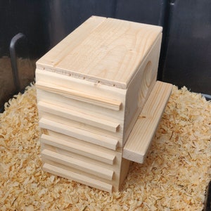 Extra Wide Customizable Climbing Tower Pet House - Bottomless Toy Handmade with Kiln-Dried Pine Wood for Small Animals image 6