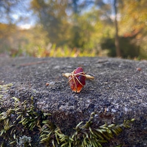 Carnelian Wire Wrapped Ring