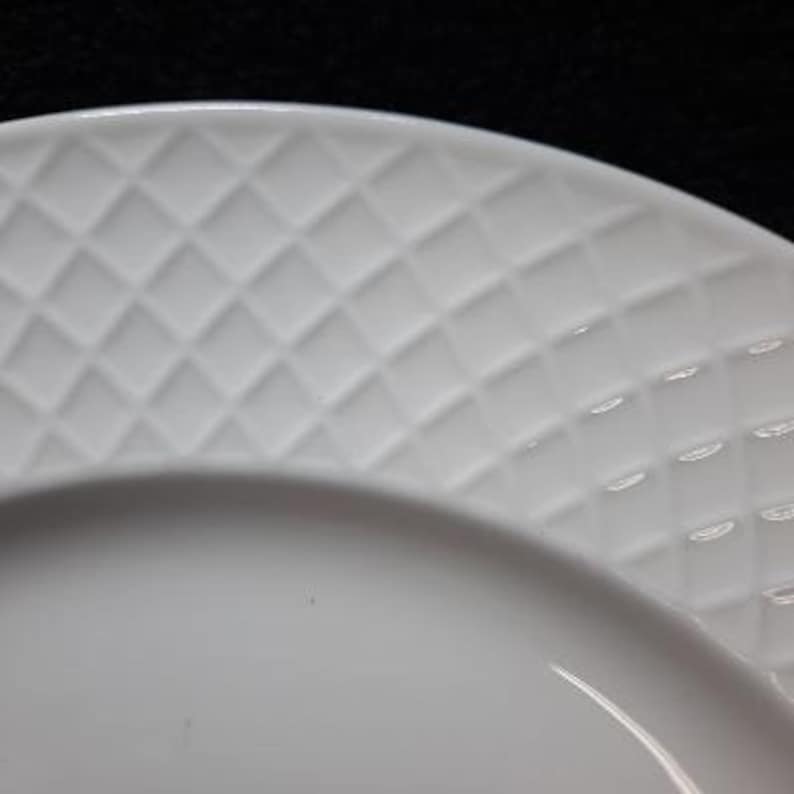 Mikasa Bone China Trellis Pattern Embossed Band Dinner Plate Etsy