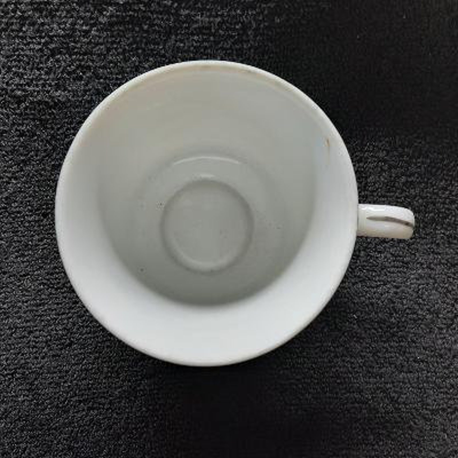 Castlecourt Fine China Wheat Spray Pattern Flat Coffee Cup No Saucer