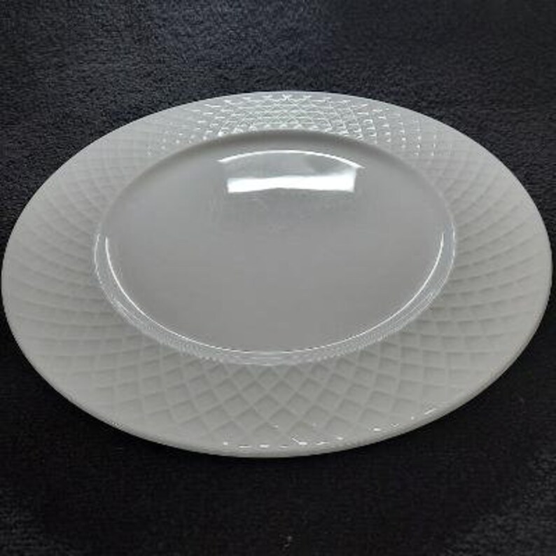 Mikasa Bone China Trellis Pattern Embossed Band Dinner Plate Etsy