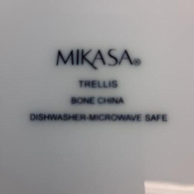 Mikasa Bone China Trellis Pattern Embossed Band Dinner Plate Etsy