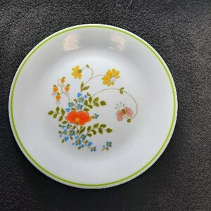 May include: A white ceramic plate with a green rim features a floral design with orange, yellow, and blue flowers and a pink butterfly.