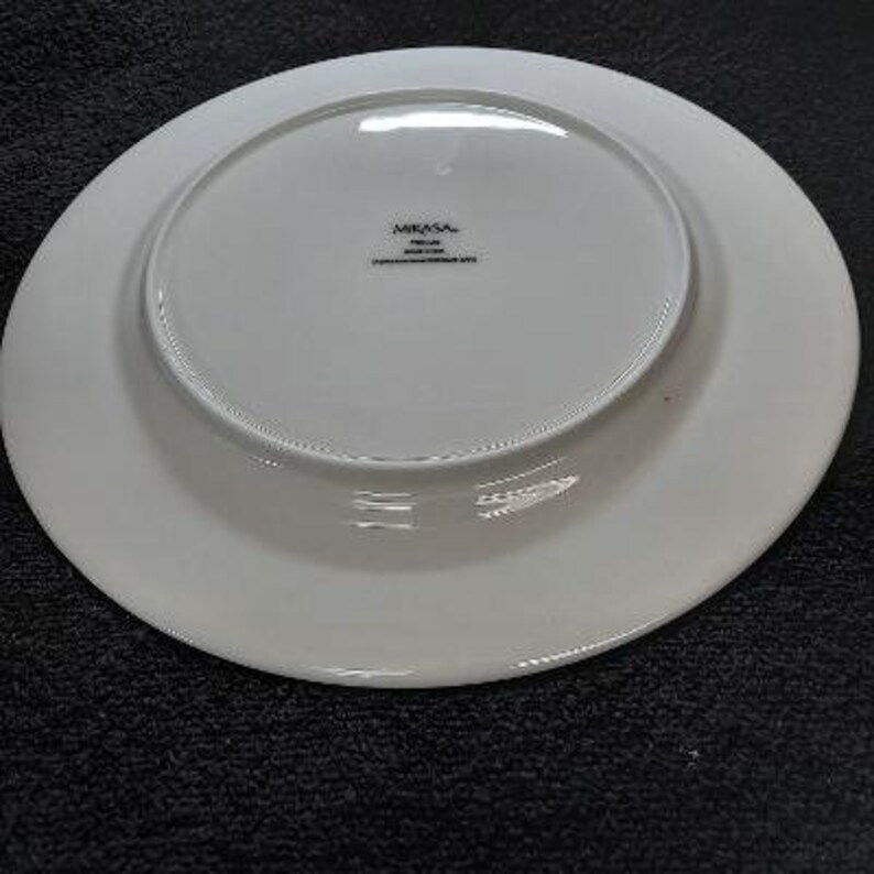 Mikasa Bone China Trellis Pattern Embossed Band Dinner Plate Etsy