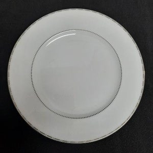 May include: A white ceramic dinner plate with a delicate silver rim and a subtle pattern of silver dots around the edge.