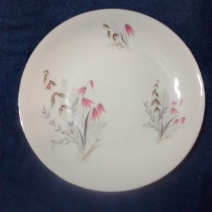 Royal Duchess Montain Bell Pattern Dinner Plate