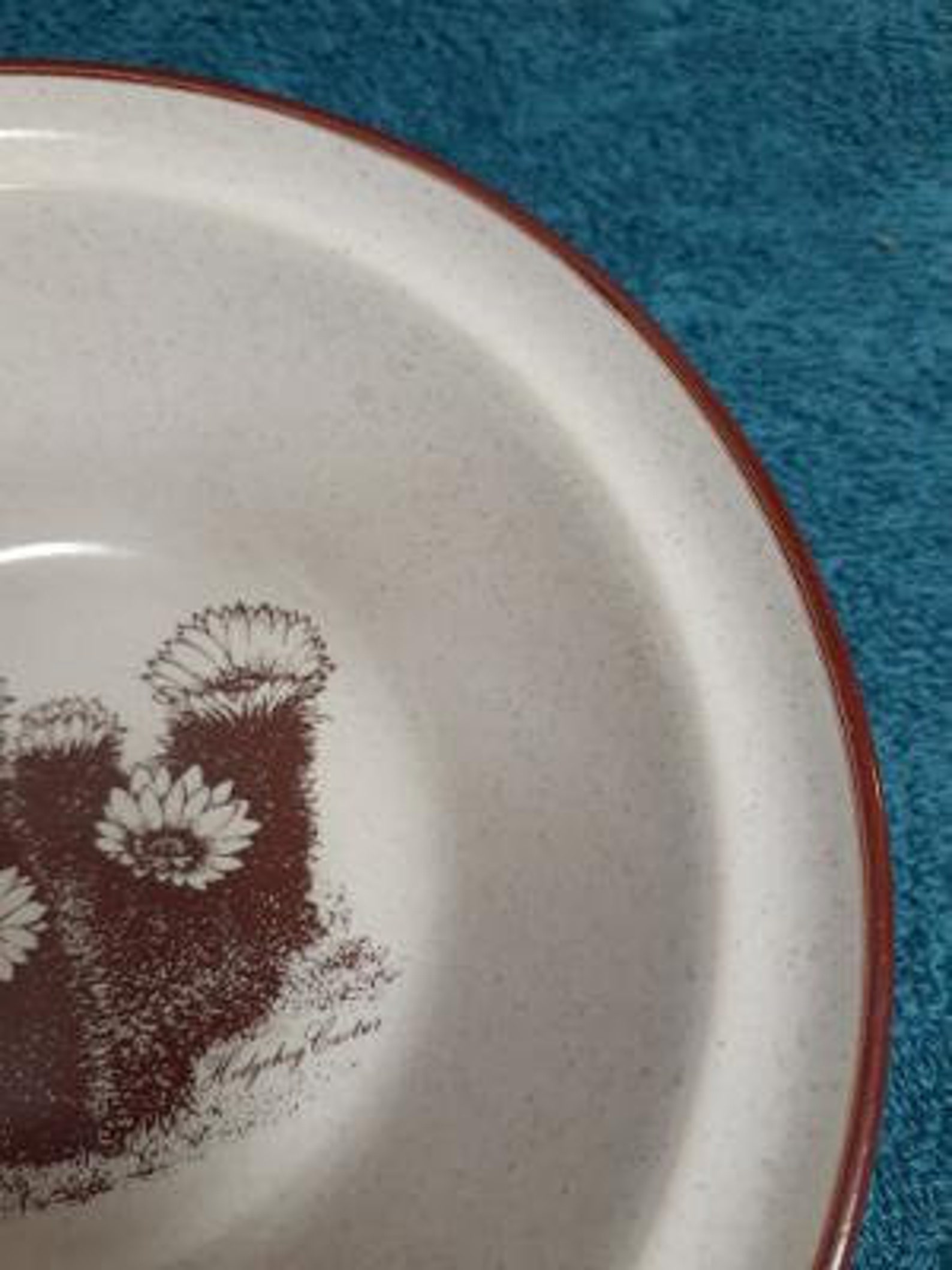 Noritake Stoneware Desert Flowers Pattern Rimmed Cereal Bowl Made in