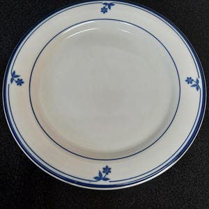 May include: A white ceramic plate with a blue rim and a simple floral design. The plate has a slightly raised edge.