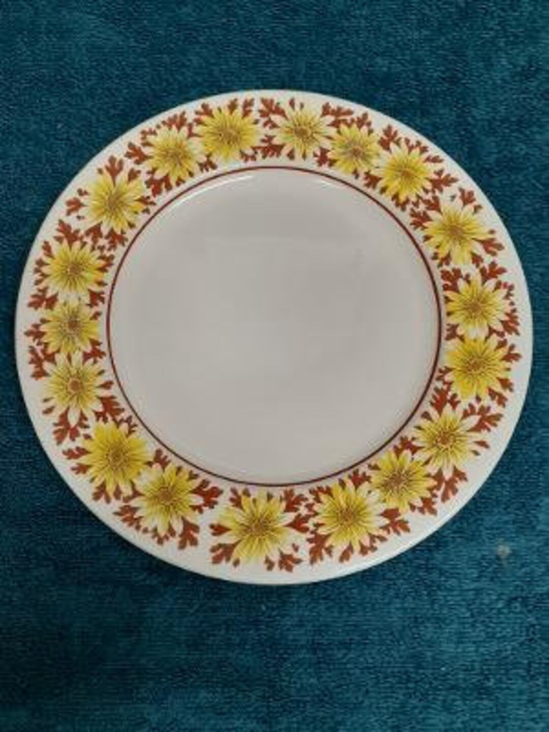 Sears and Roebuck Ironstone Daisy Trail 4207 Pattern Dinner Plate