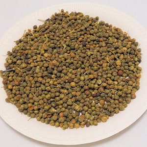 Sea Buckthorn Berries, Mature whole berries, 100g, Natural Dyeing, Eco Dyeing, Eco printing,