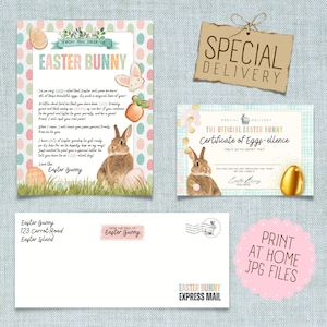 May include: An Easter-themed stationery set featuring a letter from the Easter Bunny, a certificate, an envelope, and a tag that says "Special Delivery". The letter and certificate have illustrations of a bunny and eggs.