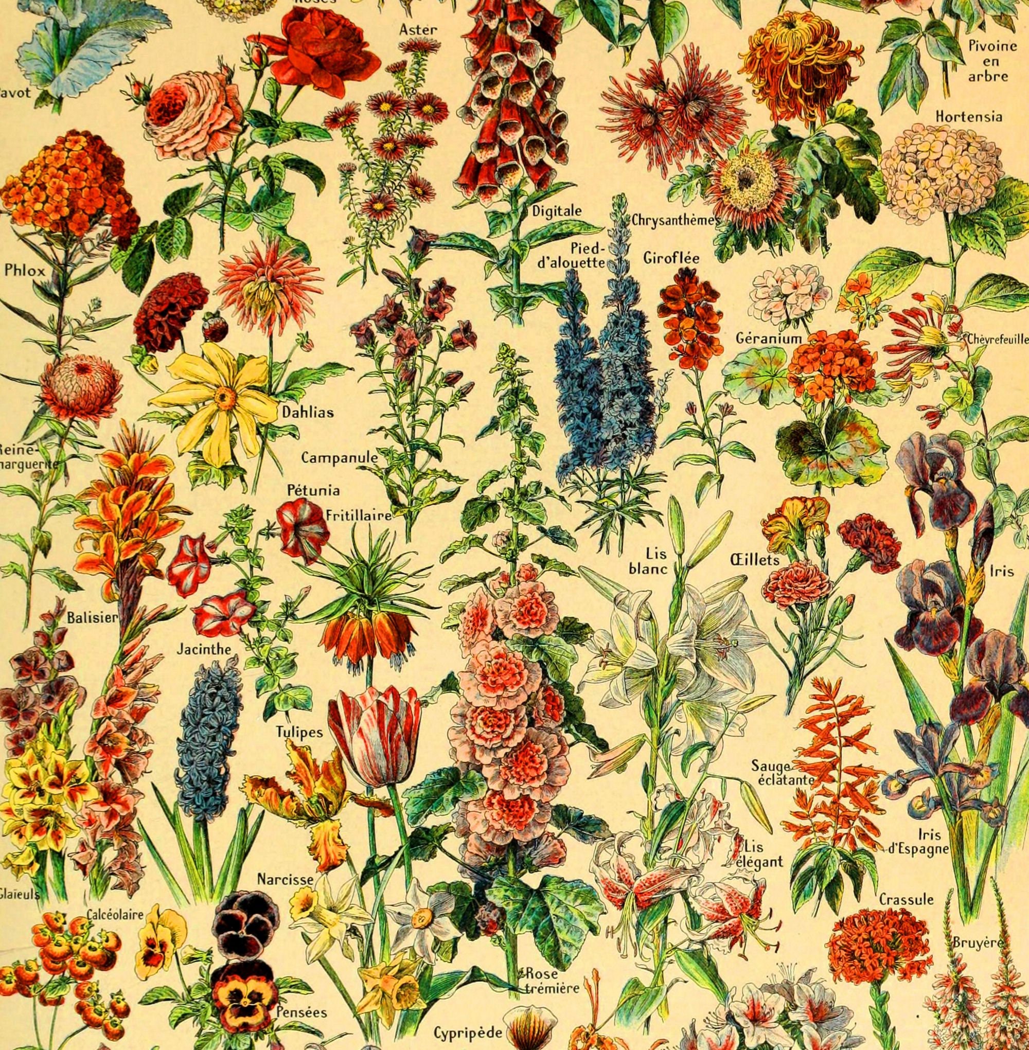 Vintage Flowers Wrapping Paper Floral Wrapping Paper Etsy