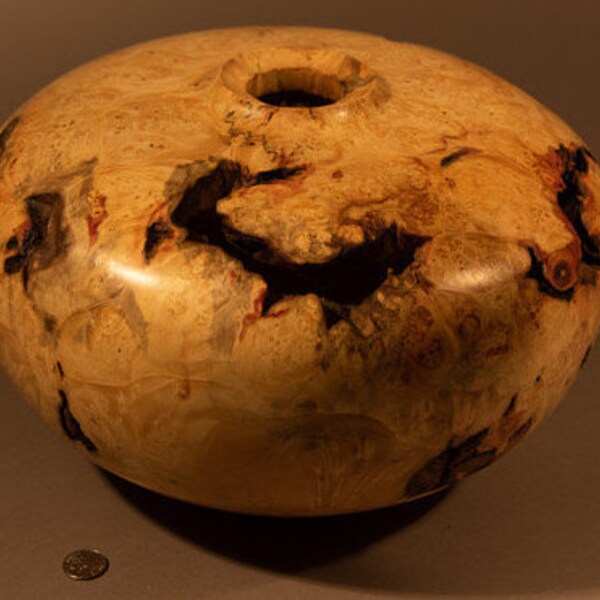 Large stunning  Manitoba Maple Burl vase