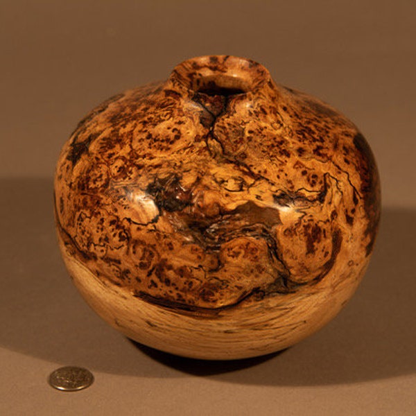 Beautiful Ash burl vase