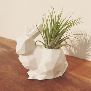 Plantador suculento de conejo / Plantador impreso en 3D / Plantador suculento de plantador de conejo / Plantador de interior