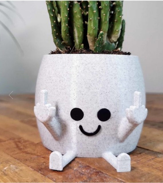 Middle Finger Pot, Double Finger Planter, 3D Printed, Funny Gift, Indoor  Planter, Secret Santa Gift, Office Decor, Gift for Friend 
