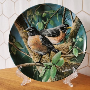 Könnte beinhalten: Dekorative Platte mit zwei Rotkehlchen auf einem Ast, mit einem Nest im Hintergrund. Die Platte hat einen dunkelgrünen Rand und eine detaillierte Malerei der Vögel und des Laubes. Die Signatur des Künstlers, "KEVIN DANIEL", ist sichtbar.