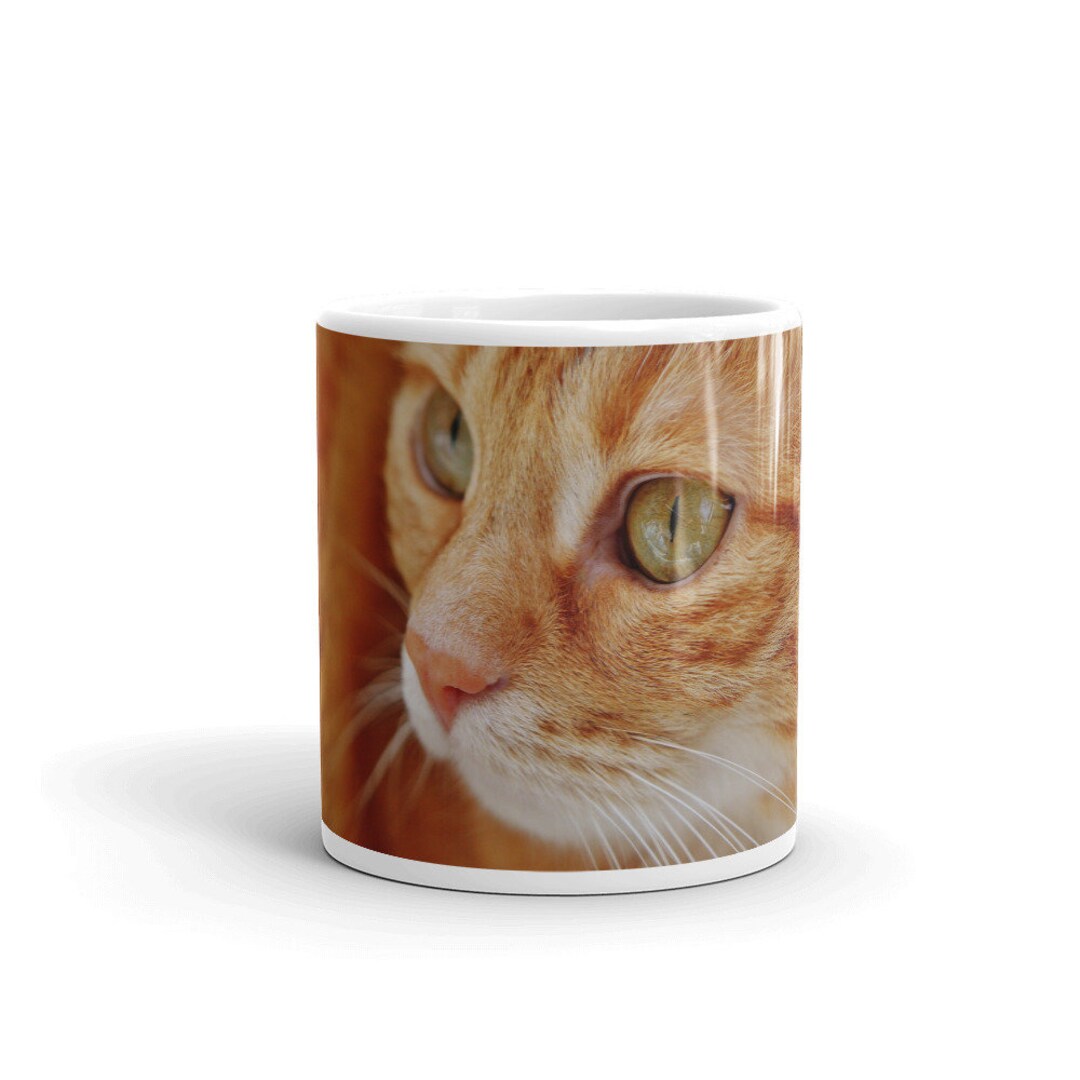 Our Best Ceramic Mugs Ginger Cat Coffee Mug Coffee Cup Etsy