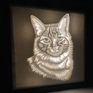 May include: A white paper cutout of a cat's head illuminated from behind, creating a shadow box effect. The cat has a light gray and white striped pattern.