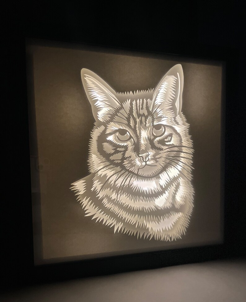 May include: A white paper cutout of a cat's head illuminated from behind, creating a shadow box effect. The cat has a light gray and white striped pattern.