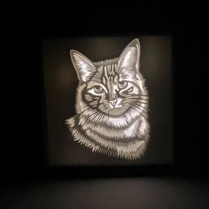 May include: A black and white illustration of a cat's head, with a detailed design of fur and whiskers. The cat is looking directly at the viewer.