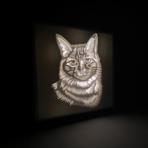 May include: A black and white illustration of a cat's face, illuminated from behind, creating a shadow box effect.
