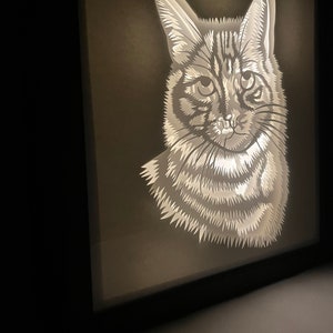 May include: A white paper cutout of a cat's head illuminated from behind, creating a shadow effect. The cat has a light gray and white striped pattern.