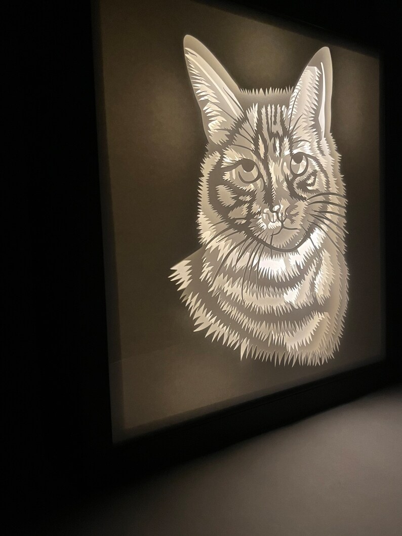 May include: A white paper cutout of a cat's head illuminated from behind, creating a shadow effect. The cat has a light gray and white striped pattern.