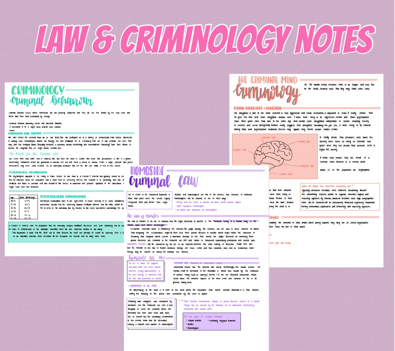 Law and Criminology Detailed Notes Etsy UK