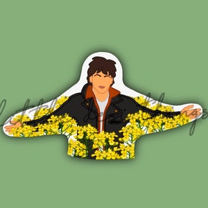 Bollywood Aufkleber: Sharukh von DDLJ (wasserfest)