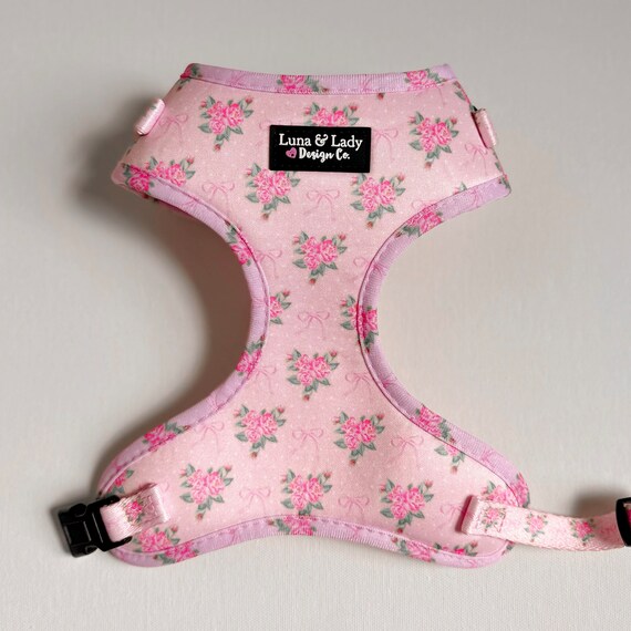 Girl puppy harness 2025
