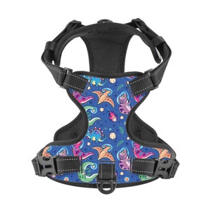 Space Dinosaur No Pulling Dog Harness With Reflective Leash