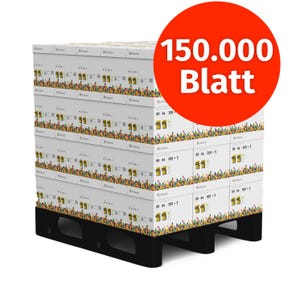 Carta per stampante Infowerk carta per fotocopie 150000 fogli 60 x 2500 A4 80g bianco brillante premium 160 vincitore del test CIE certificato ambientale PEFC