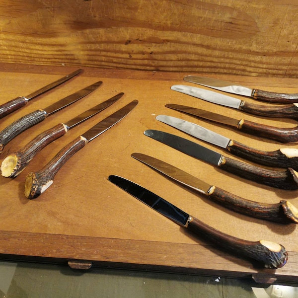 Service ou set de couteau de table neuf pour 12 personnes manche en bois de cerf ou chevreuil et inox