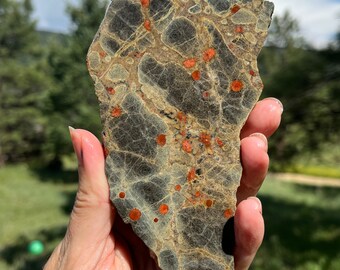 Stabilized Peanut Obsidian Lapidary Slab natural stone not polished for cabbing