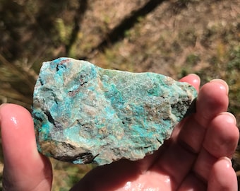 Chyrsocolla rough natural stone crystal with Shattuckite lapidary