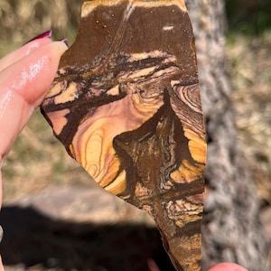 La lastra lapidaria Andromeda Jasper fornisce pietra