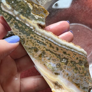 Ocean Jasper Lapidary Slab natural stone not polished for cabbing