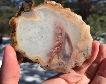 Condor Agate Lapidary slice natural stone not polished large