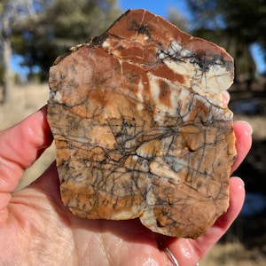 Pietra naturale California Jasper Lapidary Slab non lucidata per cabling