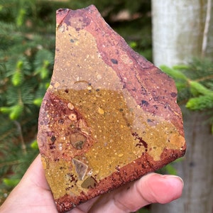 Immagine Jasper Lapidary Lastra di pietra naturale non levigata per cabbing