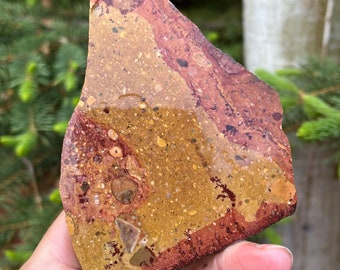 Picture Jasper Lapidary Slab natural stone not polished for cabbing