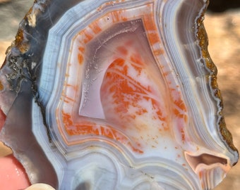 May include: A slice of agate with a white, gray, and orange banded pattern. The agate has a natural, rough edge and a smooth, polished surface.
