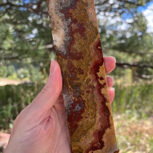 May include: A rectangular slab of polished stone featuring a complex, organic pattern of deep red, earthy brown, and creamy white mineral inclusions. The surface displays a smooth, variegated texture with swirling bands of colour throughout the piece.